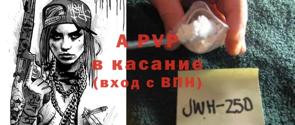 эйфоретик Бородино